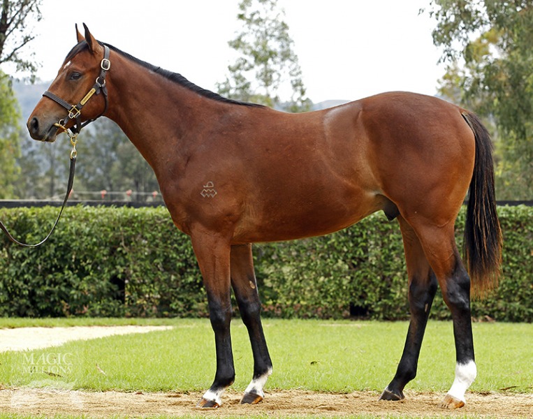 Bullion Wolf (AUS) - photo 1