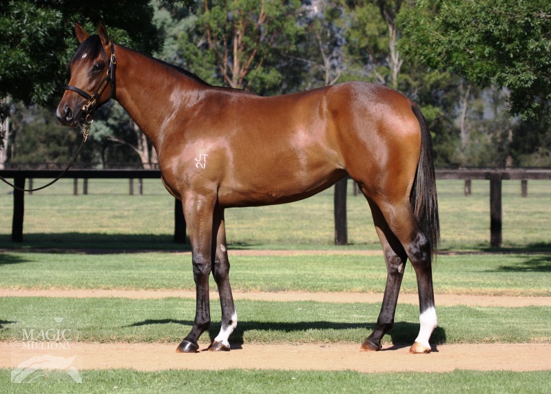 Star Witness (AUS) / Caesour's Promise (AUS) - photo 1