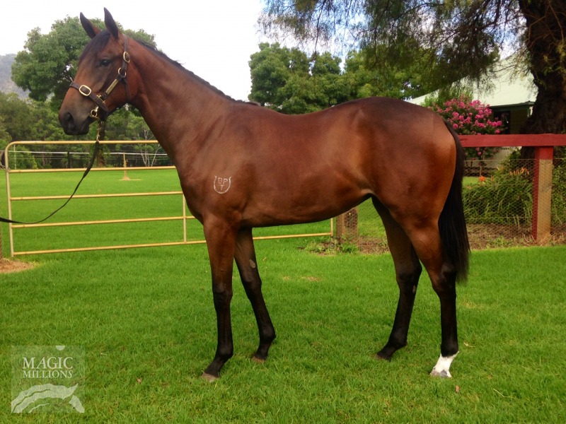 Cuteness (AUS) - photo 1