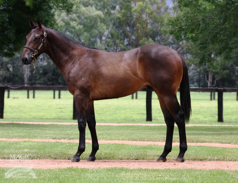 Hinchinbrook (AUS) / Cathie's Lane (AUS) - photo 1