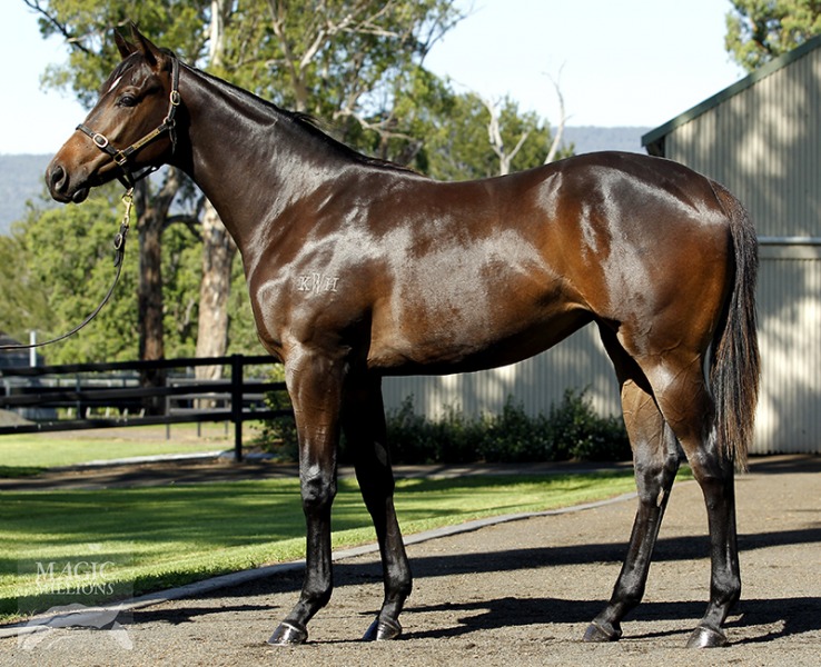 Duporth (AUS) / Cavities (AUS) - photo 1