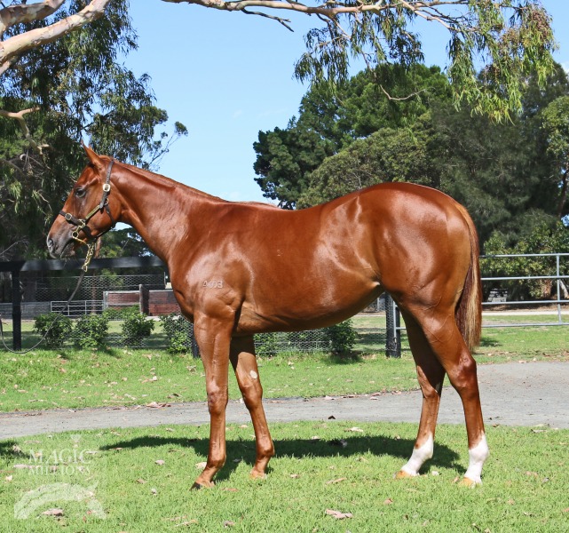 Pirapala (AUS) - photo 1