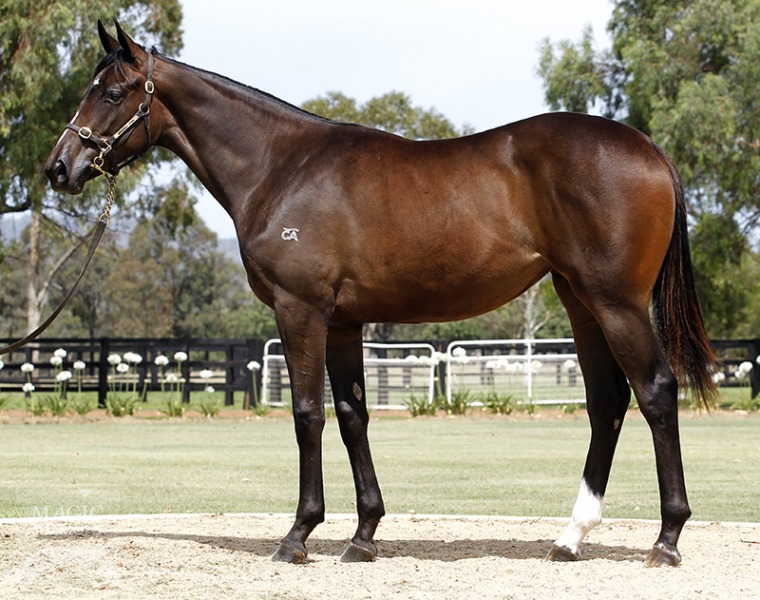 Aurora Rose (AUS) - photo 1