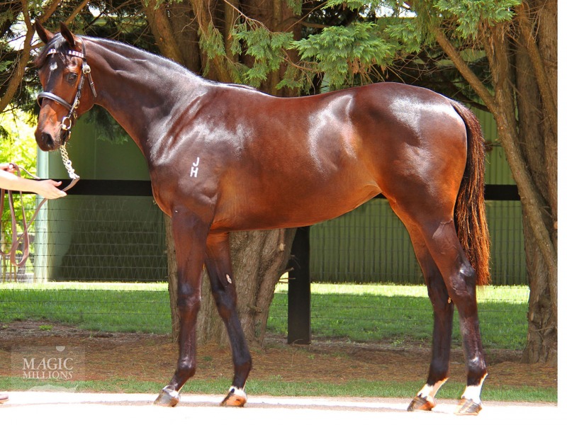 Al Maher (AUS) / Chai (AUS) - photo 1