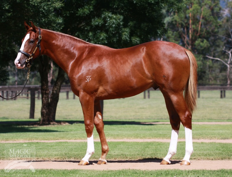 Riotman (AUS) - photo 1