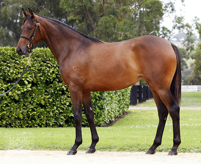 High Embrace (AUS) - photo 1