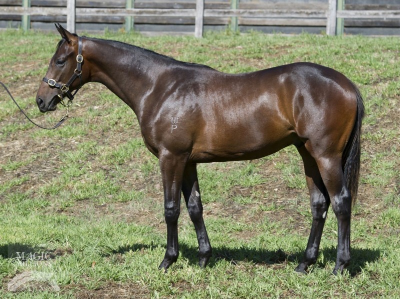 Commands (AUS) / Church On Sunday (AUS) - photo 1