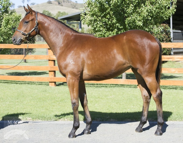 Scarlett Rouge (AUS) - photo 1