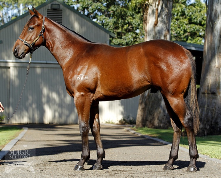 Duporth (AUS) / Cinquante Cinq (IRE) - photo 1