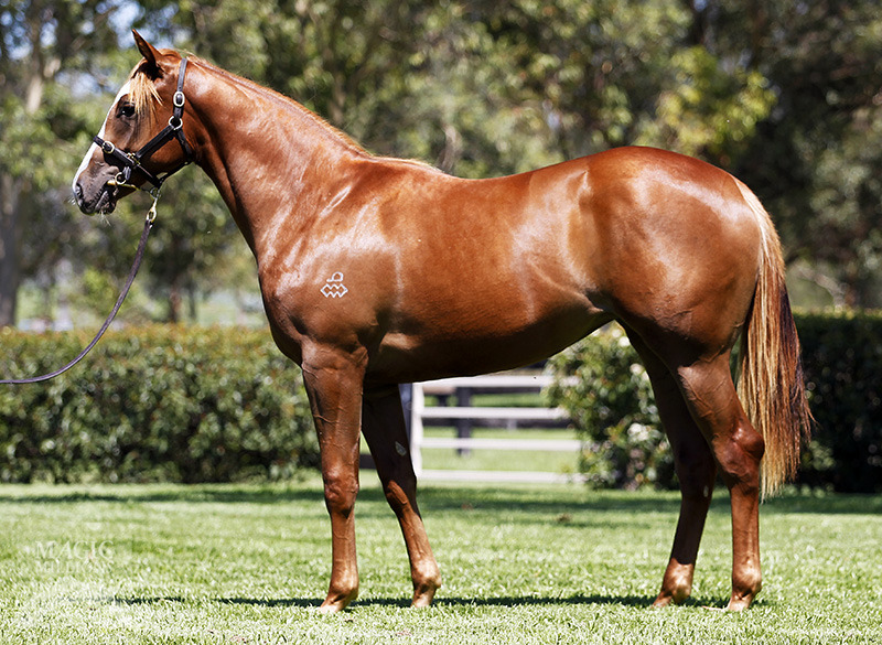 Kascata (AUS) - photo 1