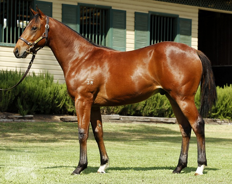 Farson (AUS) - photo 1