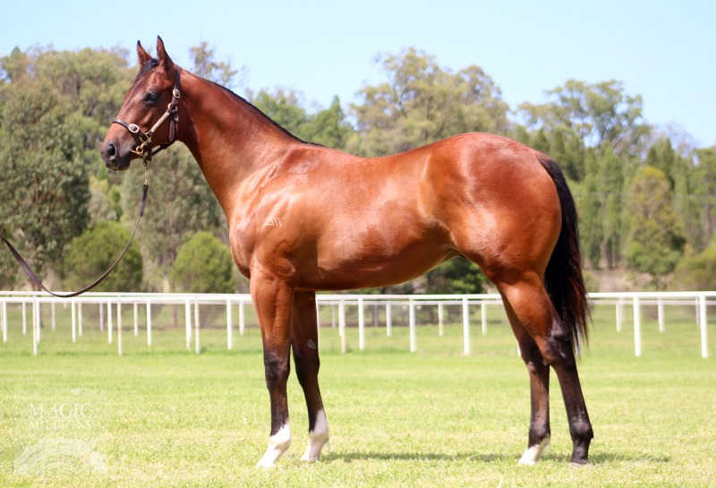 Palladian (AUS) - photo 1