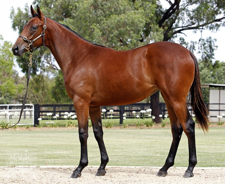 Unmistakable (AUS) - photo 1