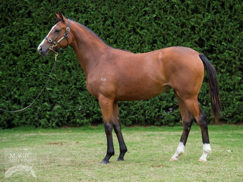 Like 'Em Sassy (AUS) - photo 1