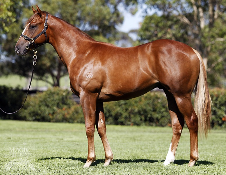 Detective (AUS) - photo 1