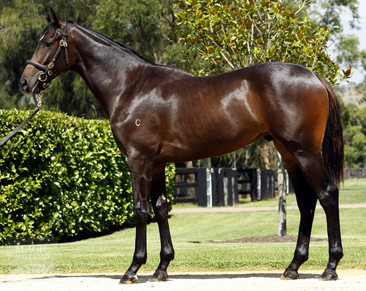 Reata (AUS) - photo 1