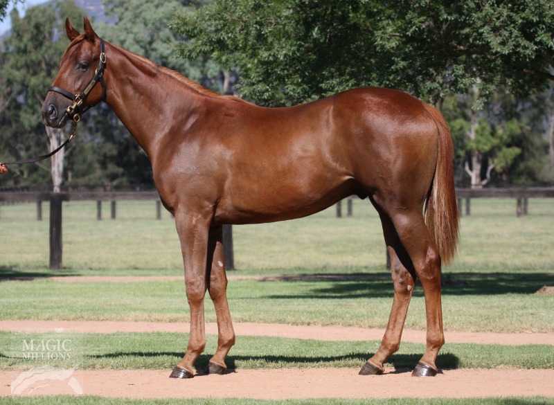 Congrats (USA) / De Jetcat (AUS) - photo 1