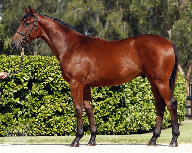 Delacroix (AUS) - photo 1