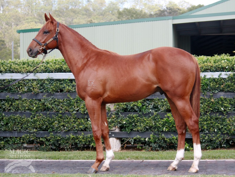 Every Single One (AUS) - photo 1