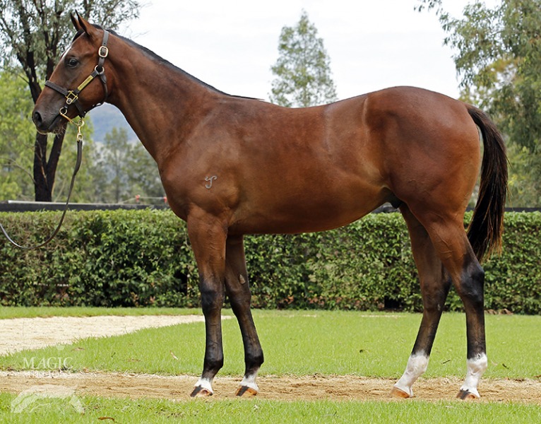 Respect A Missile (AUS) - photo 1