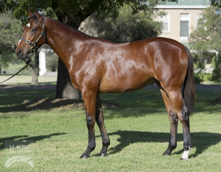 Royal Receiver (AUS) - photo 1