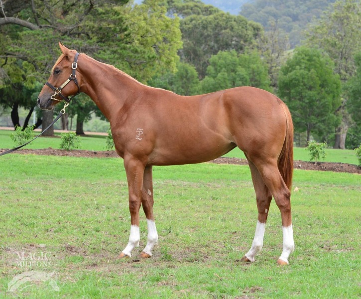 Dreamship (AUS) - photo 1