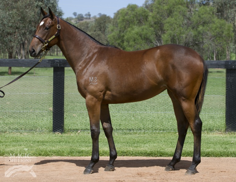 Candika (AUS) - photo 1