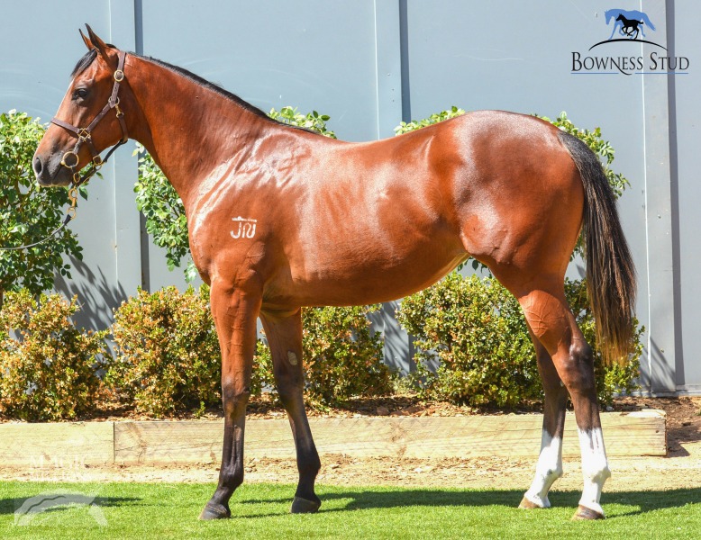 Luminous Star (AUS) - photo 1