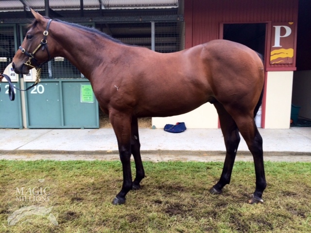 Wayanka (AUS) - photo 1