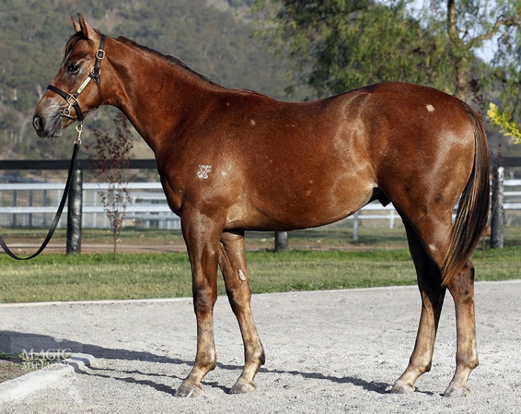 Reconnect (AUS) - photo 1