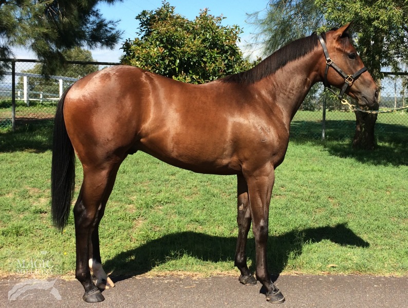 Seslam (AUS) - photo 1