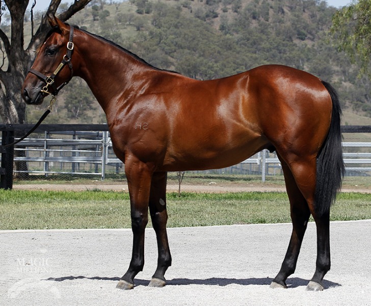 Mediterranean (AUS) - photo 1