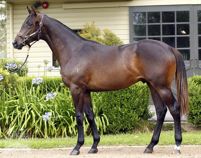 Ready For Danger (AUS) - photo 1