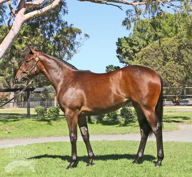 Modern Wonder (AUS) - photo 1