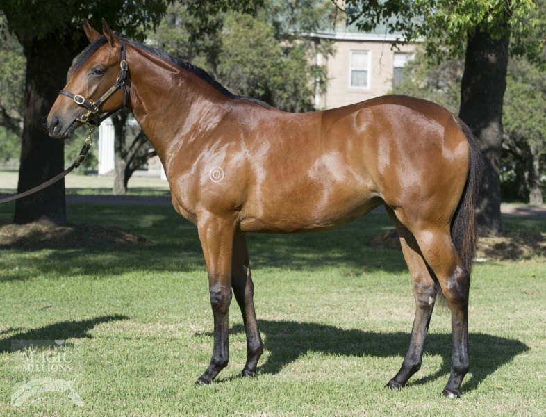 Vanzetta (AUS) - photo 1