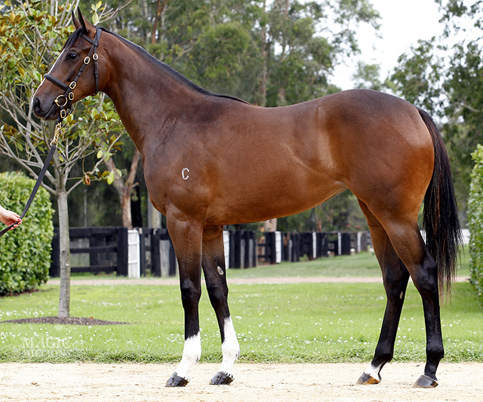 Jennifer Lynn (AUS) - photo 1