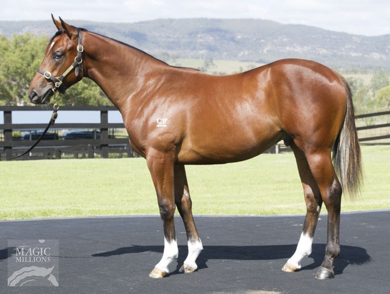 Redoute's Choice (AUS) / Expensive (GB) - photo 1