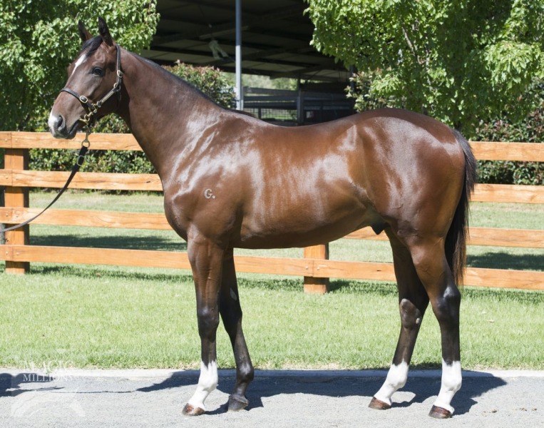 Smart Missile (AUS) / Eyelean (AUS) - photo 1