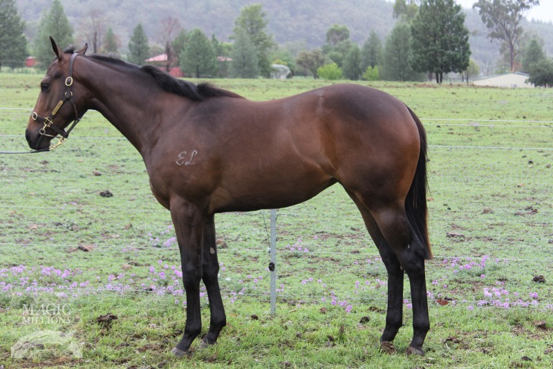 Lavender Hill (AUS) - photo 1