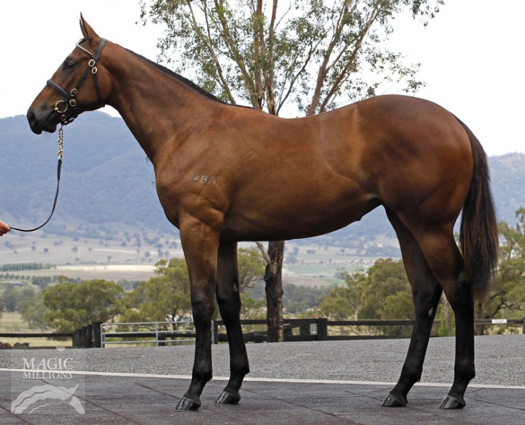 Rumba Queen (AUS) - photo 1