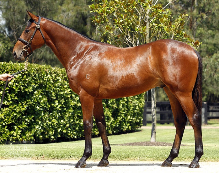 Look First (AUS) - photo 1