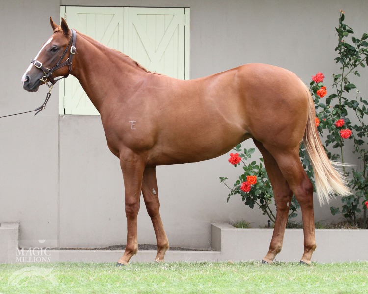 The Seductress (AUS) - photo 1