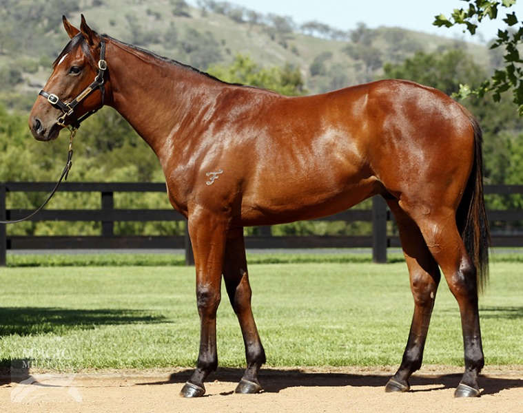 Marching On (AUS) - photo 1