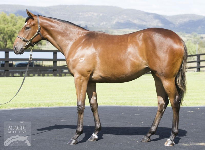 Chloebell (AUS) - photo 1