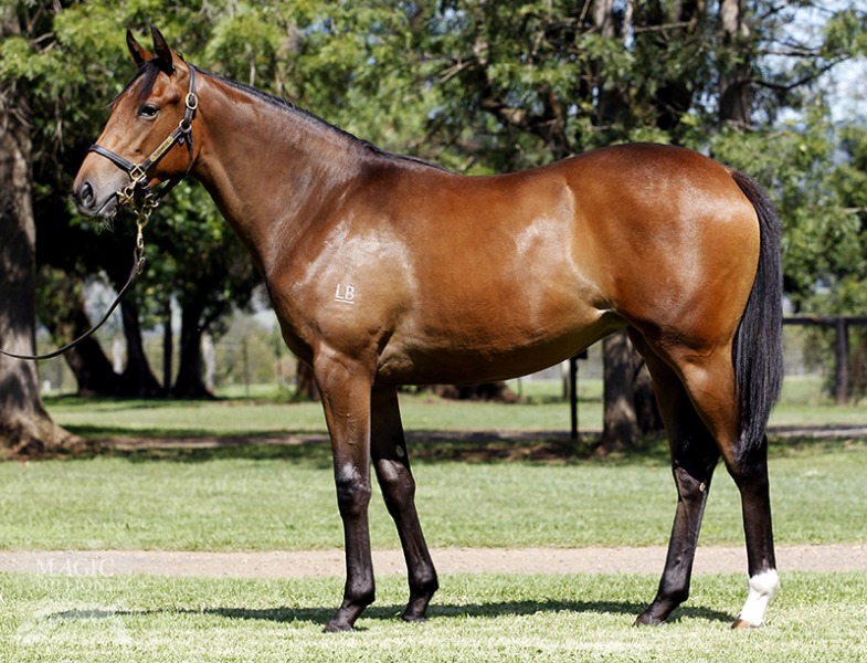 Fastbrook (NZ) - photo 1