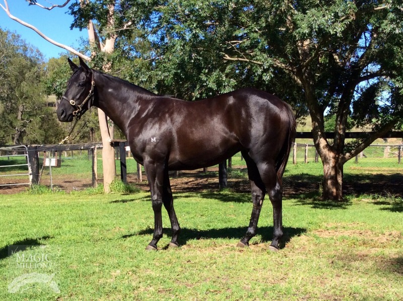 Imposition (AUS) - photo 1