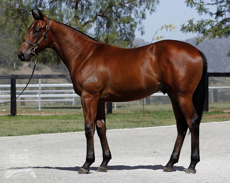 China Dream (AUS) - photo 1