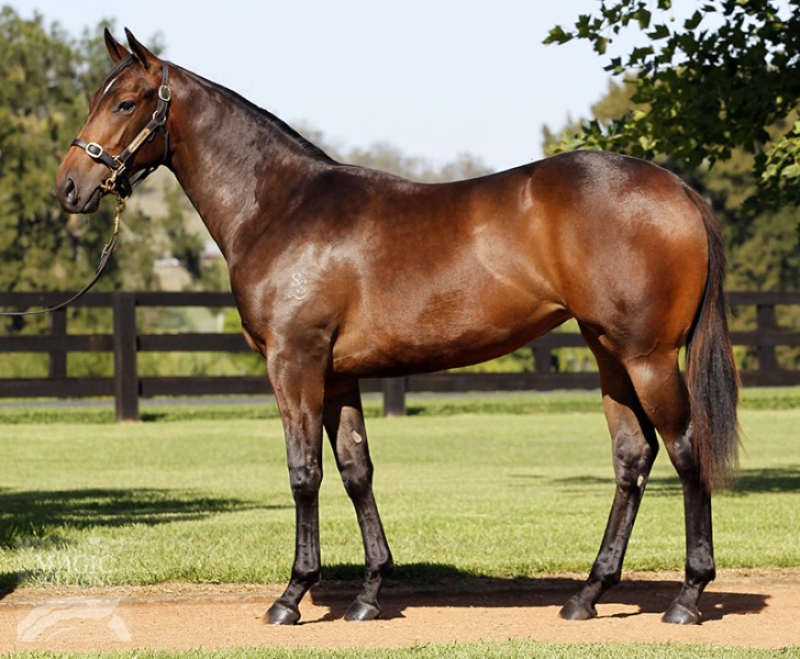 First Channel (AUS) - photo 1