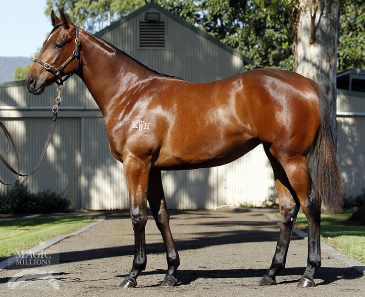 Elle Darl (AUS) - photo 1