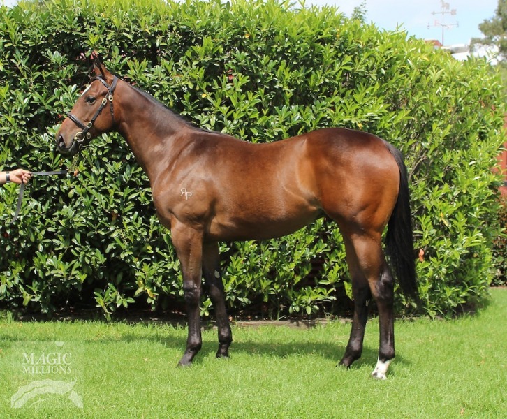 Gravitate (AUS) - photo 1